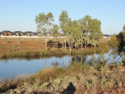 Other side of the wetlands